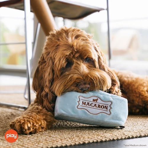 P.L.A.Y. Cute Plush Dog Toys - Coffee Shop Food Themed Durable Squeaker Chew Toy for Medium & Large Dogs - Machine Washable, Recycled Materials (Pup Cup Cafe Mutt-a-rons, Medium)