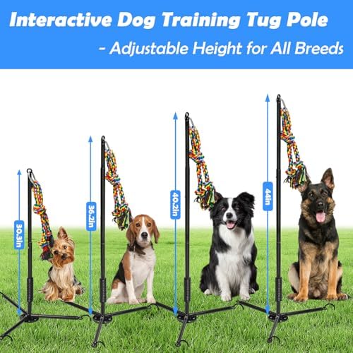 Tether Outdoor Dog Toy,Interactive Exercise Game in Yard Park