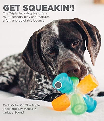 Outward Hound Triple Jack Interactive Multi-Squeak Dog Toy, 4.9"