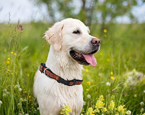 MLB Houston Astros Licensed PET COLLAR- Heavy-Duty, Strong, and Durable Dog Collar. Available in 29 Baseball Teams and 4 Sizes