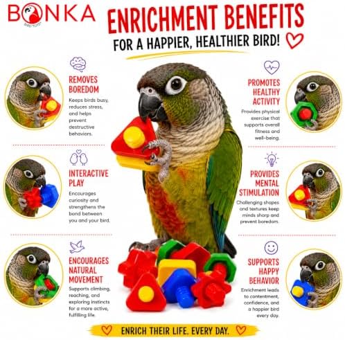 Bonka Bird Toys 3505 Pk6 Huge Nuts and Bolts Colorful Enticing Large Screw Interactive Foot Beak Throw Parrot Cockatoo Amazon African Grey Macaw Hyacinth