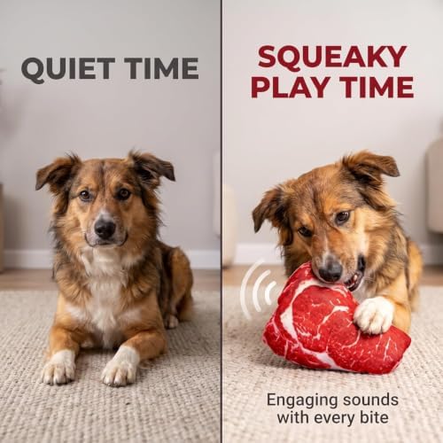 Realistic Food Steak Plush Dog Squeaky Toy, Soft Food Shape Pet Chew Toy for Small Medium Dogs and Non-Aggressive Chewers, Puppy Teeth Clean Chew Toys