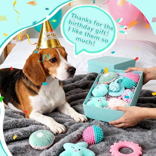 RoundFunny 11 Pcs Dog Birthday Toy Gift for Dog Birthday Cake Puppy Girl Boy Squeak Toys Interactive Puppy Gift with Box for Small Medium Size(Stylish,Mixed Color)