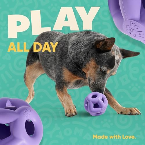Yomp HeliRing MAX Dog Toy – Durable Hollow Ball with Zany Bounce, Tug & Fetch, Dishwasher Safe for Easy Cleaning