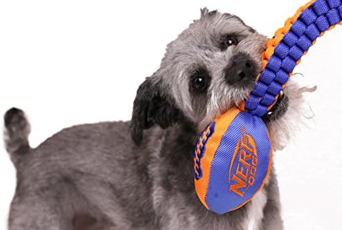 Nerf Dog Vortex Chain Tug Dog Toy with Squeaker Football Head, Lightweight, Durable, Water Resistant, 30 Inches, For Medium to Extra-Large Breeds, Single Unit (3474)