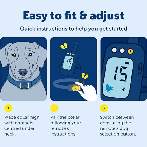 PetSafe Add-A-Dog Remote Training Collar – Perfect for Small, Medium and Large Dogs – Choose from Tone, Vibration, or 15 Levels of Static Stimulation – Waterproof and Durable – Rechargeable
