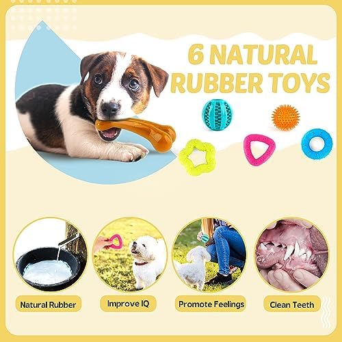 LOYEE Puppy Toys 21 Pack, Small Dog Chew Toys with Rope Toys for Teething Pet Cute Squeak Toy with Treating Ball for Puppy, Small Dogs - 21 Pack