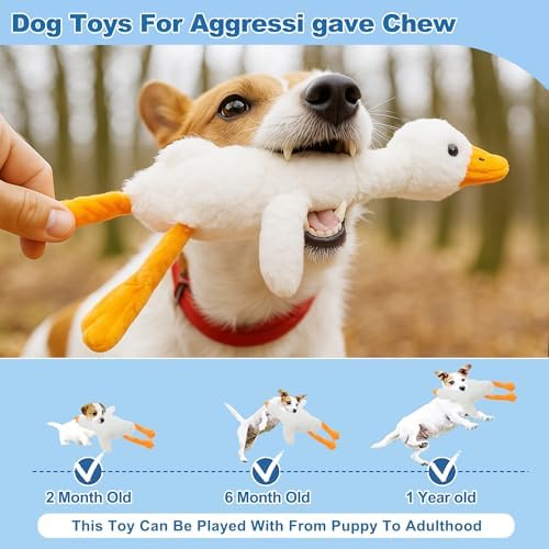 Dog Toys for Aggressive Chewers, Goose Chew Toy for Dogs, Squeaker Crinkle Plush Toy, Tough Interactive Dog Chew Toys, White