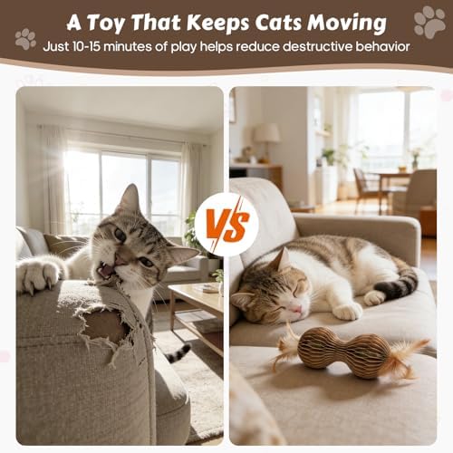Catnip Ball Toys for Indoor Cats Dumbbell-Shaped Cardboard Toy with 2 Catnip Balls & Feather Ends for Interactive and Independent Play, Exercise & Stress Relief Cat Toys for Kitten All Breeds and Ages