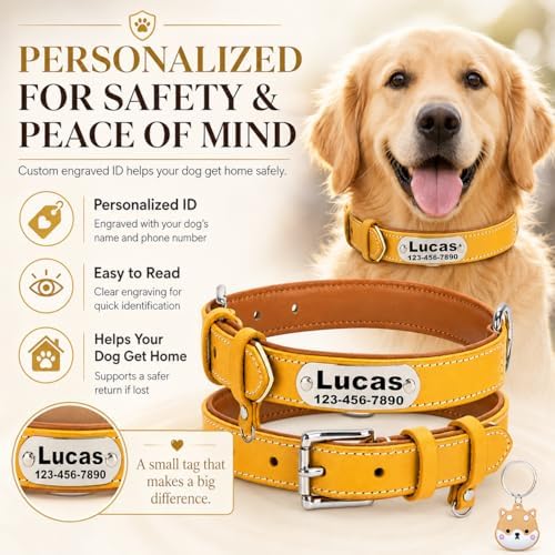 Personalized Genuine Leather Dog Collar with Name Phone Number-Yellow-S