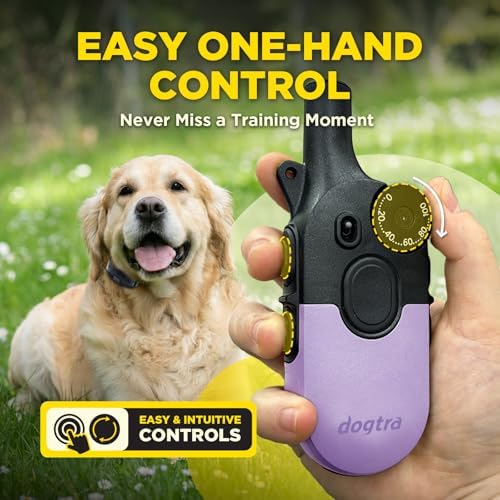 Dogtra 200iQ Remote Training E Collar – 100 Levels, Tone, Vibration, 1/2 Mile Range – Compact, Waterproof, One-Handed Control for Dogs 10 lbs+ – Lightweight Daily Training – Slip Resistant Lavender