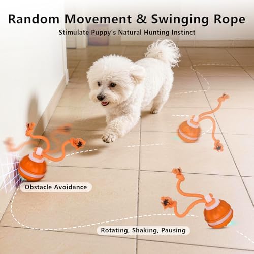 Interactive Dog Toys Ball, 3 Modes & Powerful Motor, Random Movement & Swinging Rope, Bird Chirping Stimulate, USB C Rechargeable for Small Medium Dogs for Boredom, Anxiety Relief