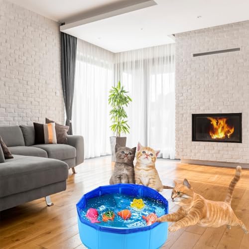 Cat Pool Toy with Fish, Portable Pet Pool Toy, Pet Water Toys for Indoor, Self Play Pet Toys, Funny Interactive Cat Toys
