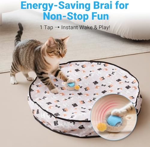 Cat Toys for Indoor Cats, Interactive Cat Toy for Adult Cats