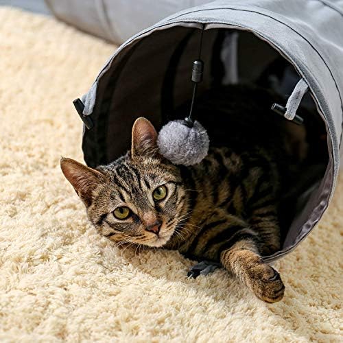 PAWZ Road Collapsible Cat Tunnel, 3 Way Cat Play Tube 10.5” in Diameter