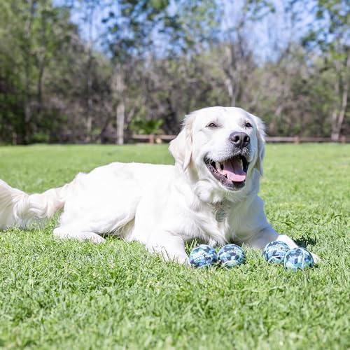 Hyper Pet Tennis Balls for Medium Dogs, 2.5 Inch Size, Pack of 4, Blue Camo