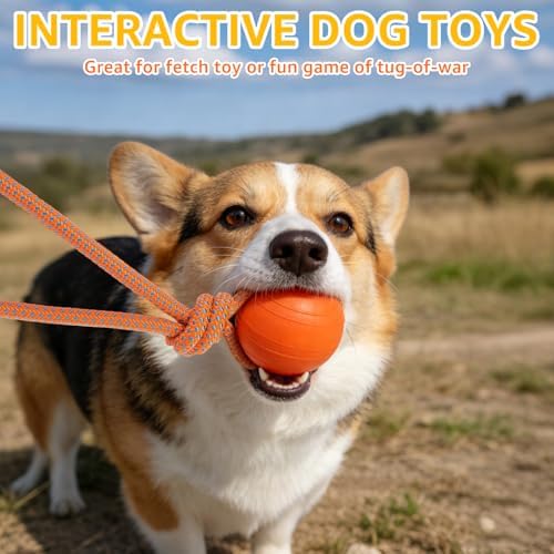 SCENEREAL Floating Dog Pool Toys - Ball on Rope Fetch and Tug-of-War Toy for Medium Large Dogs Outdoor Training, EVA Rubber Water Pet Interactive Toys for Summer Beach, Orange