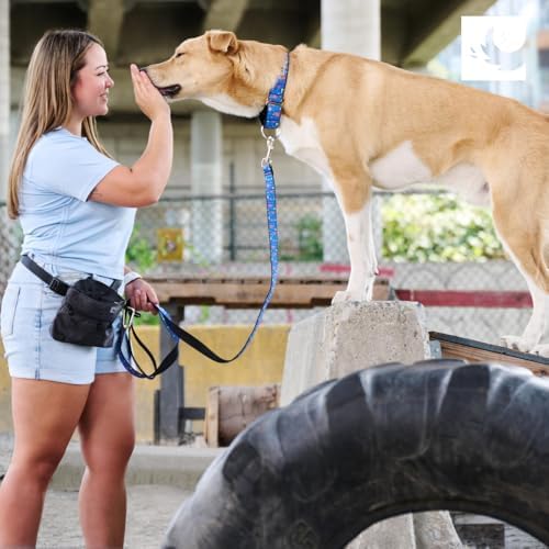 RC Pets All Webbing Training Collar M Gemstone