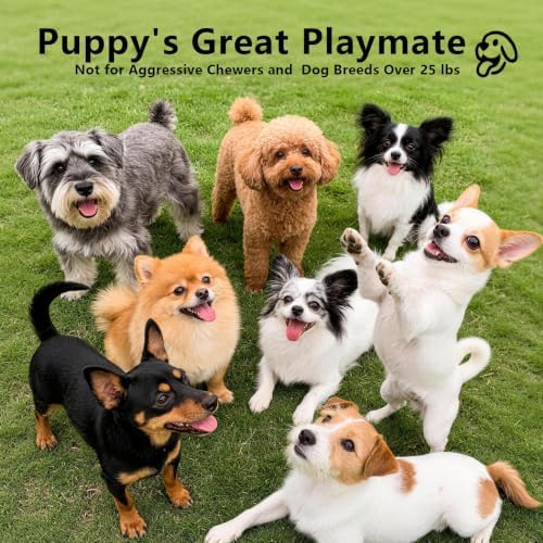 Interactive Dog Toys Ball, 3 Modes & Powerful Motor, Random Movement & Swinging Rope, Bird Chirping Stimulate, USB C Rechargeable for Small Medium Dogs for Boredom, Anxiety Relief