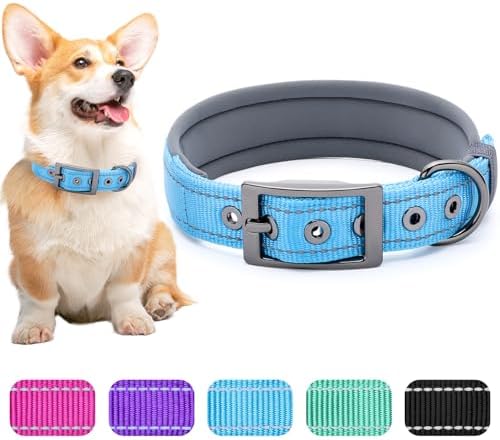 Segarty Reflective Heavy Duty Dog Collar for Medium Dogs, Adjustable Wide Soft Comfortable Breathable Neoprene Padded Nylon Collar with Metal Buckle for Medium Small Breeds (M, Light Blue)
