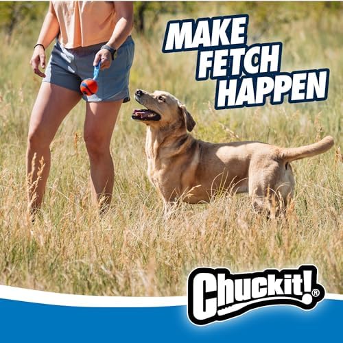 Chuckit! Ultra Tug Dog Toy, Medium Fetch and Dog Ball Tug Toy for Dogs 20-60 Pounds (Pack of 12)
