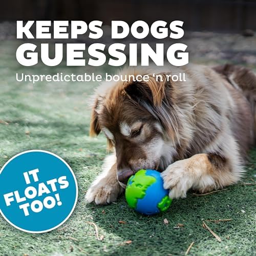Outward Hound by Planet Dog Orbee-Tuff Planet Ball Blue/Green Treat-Dispensing Dog Toy, Large