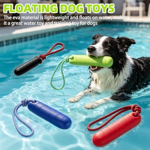 PUPTECK Interactive Dog Pool Toys Water Floating Toys Fetch Training Bumpers 4 Pack, Red Black Blue Green