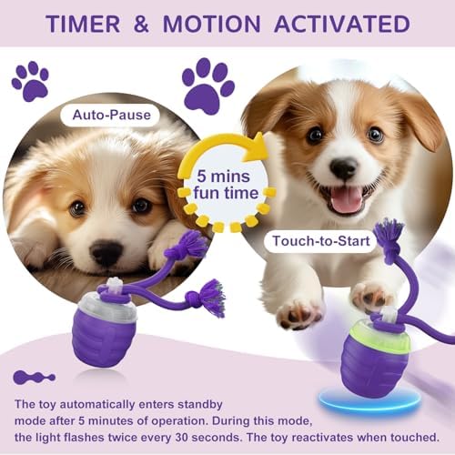 Interactive Dog Toy, [Newly Upgraded] Motion Activated Rolling Ball for Small Dogs, Automatic Moving Dogs Ball for Boredom, USB Rechargeable(Purple)