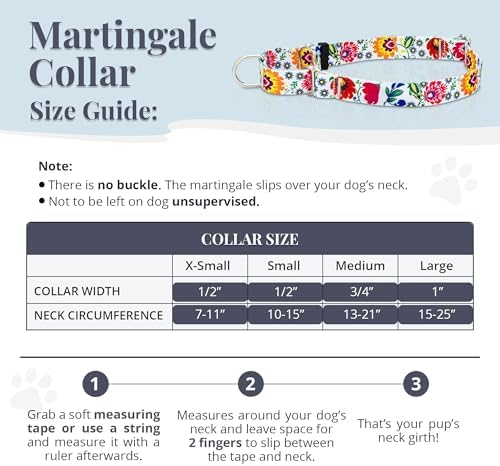 Lucky Love Dog Martingale Collar for Large Dogs No Slip – Ladybird, Large
