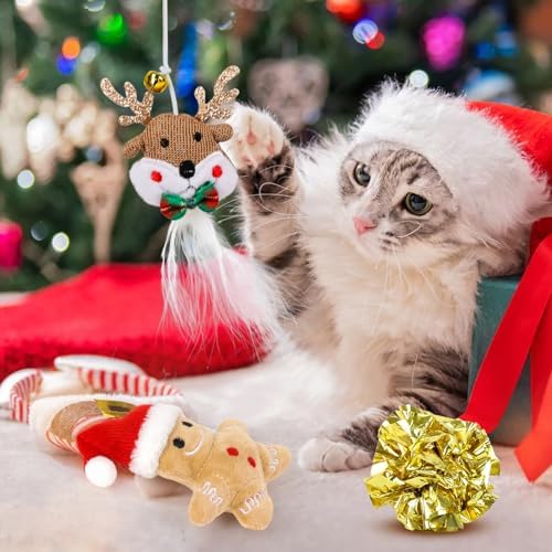 Christmas Stocking Cat Toys, 12PCS Xmas Cat Toy Set with Squeaky Toys, Balls, Cat Teaser