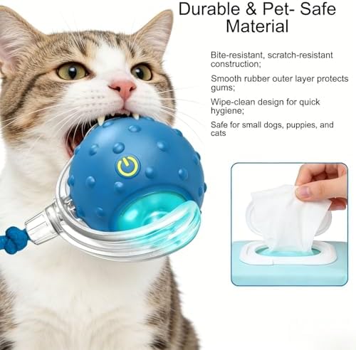 2PCS Interactive Cat Toys Ball, Tiny Fetch Interactive Dog Cat Toy Ball - 360° Automatic Scrolling with Birdsong, Smart Obstacle Avoidance, Rechargeable Boredom Buster for Pets (Blue+Red)