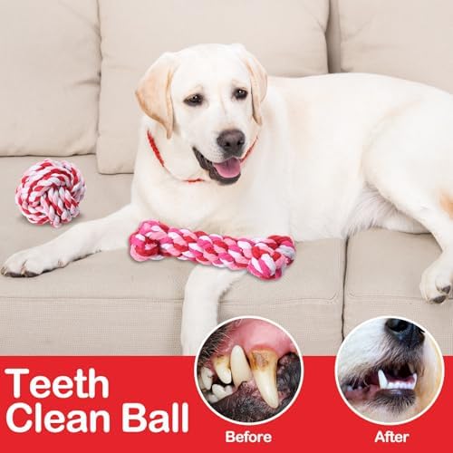 18 Pcs Dog Rope Toys Set Interactive Chew Balls Toys for Aggressive Chewers Large Medium Small Dogs Pet Puppy Teeth Cleaning Fun Training Birthday Gifts Pink
