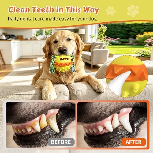 Dog Chew Toys Floating 4" Squeaky Ball for Aggressive Chewers Toothbrush Teething Cleaning Toys Outdoor Swimming Interactive Tough Toys with Treat Dispenser Ball for Medium and Large Dogs