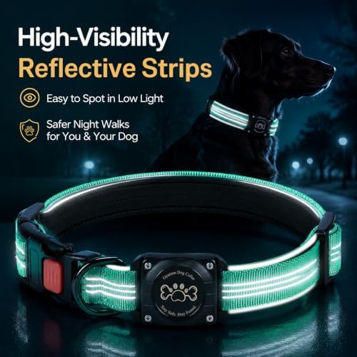 Geamen Waterproof Dog Collar QR Code Reflective Collar Teal,S | Built-in Waterproof Holder, QR Code Tag, Reflective,Secure Buckle