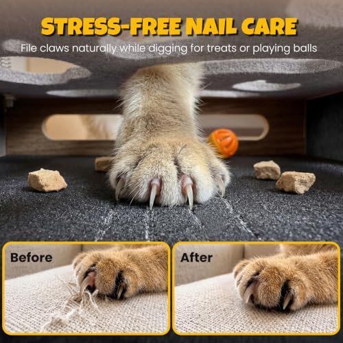 5-in-1 cat nail file scratcher Enrichment Box - interactive cat toys for indoor cats, Large felt cat puzzle feeder with replaceable sandpaper, Includes 6 balls ,4 spring toys,and feather toy(grey)