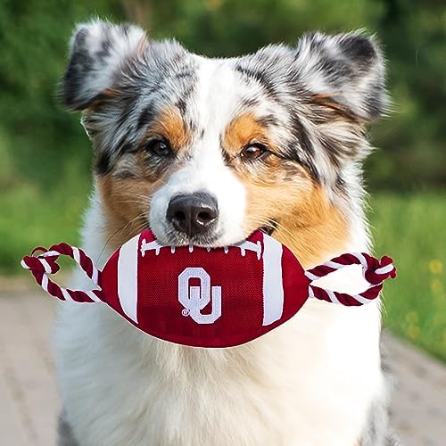 Pets First NFL Unisex NFL Nylon Football