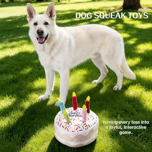 Birthday Cake Squeak Toys, 1 Pcs