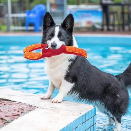 PUPTECK Floating Pool Toys for Dogs - 2 Pack Squeaky Pet Water Toys for Fetch & Training, Interactive Summer Outdoor for Large Small Medium Dogs, Turtle & Lobster