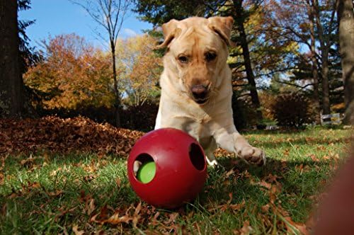 Jolly Pets Teaser Ball Interactive Dog Toy, 8 in Large, Red