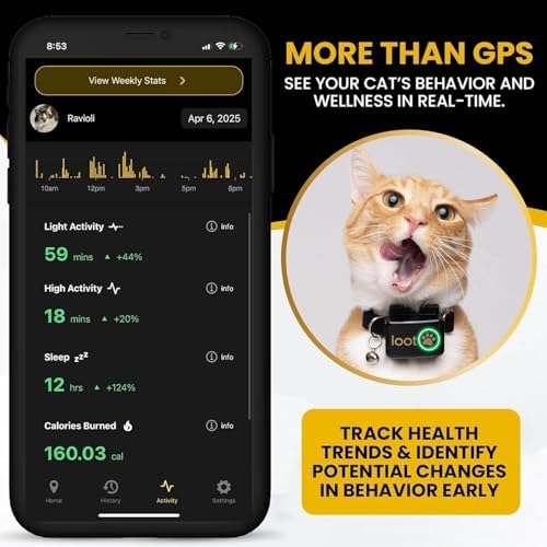 LootPaw+ GPS Cat Tracker Collar | Real Time Cat GPS Tracker with App & Vet Support | Lightweight Pet Tracker for Cats, Health & Activity Monitor | 60-Day Free Trial