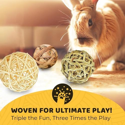 SunGrow Assorted Rabbit & Cat Chew Balls, Teething Activity Toy for Pocket Pets, Improves Dental Health, Environment Friendly, Stress Reliever (Assorted Rabbit Chew Balls, 6 Pcs)