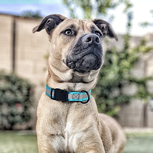 Dogline BioThane Reflective Dog Collar – Waterproof Heavy Duty Dog Collars – High Visibility Quick Release Dog Collar with Sturdy Buckle – Fun Modern Colors – Comfortable and Safe