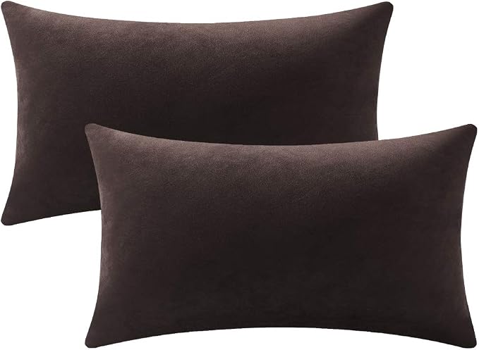 Lumbar Pillow Covers 12x20 Chocolate Brown: Pack of 2 Cozy Soft Velvet Rectangular Modern Luxury Decorative Throw Pillow Cases for Sofa Couch Living Room Bed Home Decor