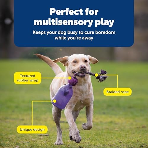 PetSafe Busy Buddy Tug-A-Jug Treat Dispensing Dog Toy, Medium/Large | Slow Feeder Toy Holds Kibble, Patented Treat Meter Dispenses Treats Randomly, Top-Rack Dishwasher Safe, for Dogs 40+ Lb