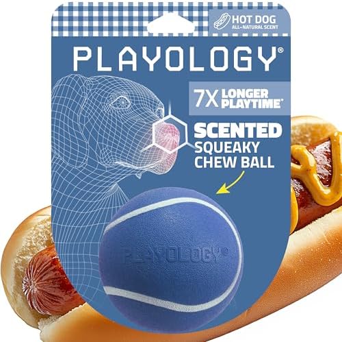 Playology Squeaky Chew Ball Dog Toy - Medium, Hot Dog Scent