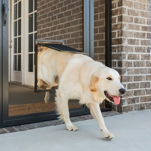 PetSafe Screen Door for Dogs & Cats, Up to 100 lb, Large | For Screen Doors or Porch Screens, Puncture-Resistant Mesh, Sliding Wind-Lock, Quick DIY Snap-in Install