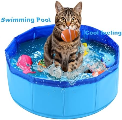 Cat Pool Toy with Fish, Portable Pet Pool Toy, Pet Water Toys for Indoor, Self Play Pet Toys, Funny Interactive Cat Toys