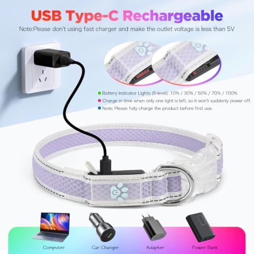 Flashseen Light up Collars for Dogs at Night, RGB 9-Mode, USB Rechargeable | Color Changing LED Lighted Dog Collar, Super Bright Adjustable Glow Collar for Night Walking (Lavender, Medium)