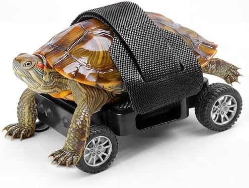 Adjustable Turtle Skateboard Playing and Training Toys Set, Full Wheel Stable Support Hook and Loop Strap, Toy for Small Reptiles & Pets (Medium)