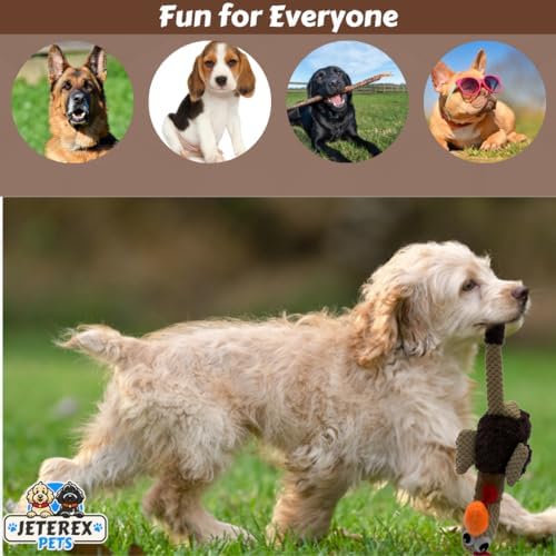 Large Dog Toy - Chicken Squeaky Dog Toys for Large Dogs, Medium and Small Dogs. Durable with Pineapple Plush Fabric, Long Legs, Hidden Seams, Reinforced Stress Points, Googly Eyes
